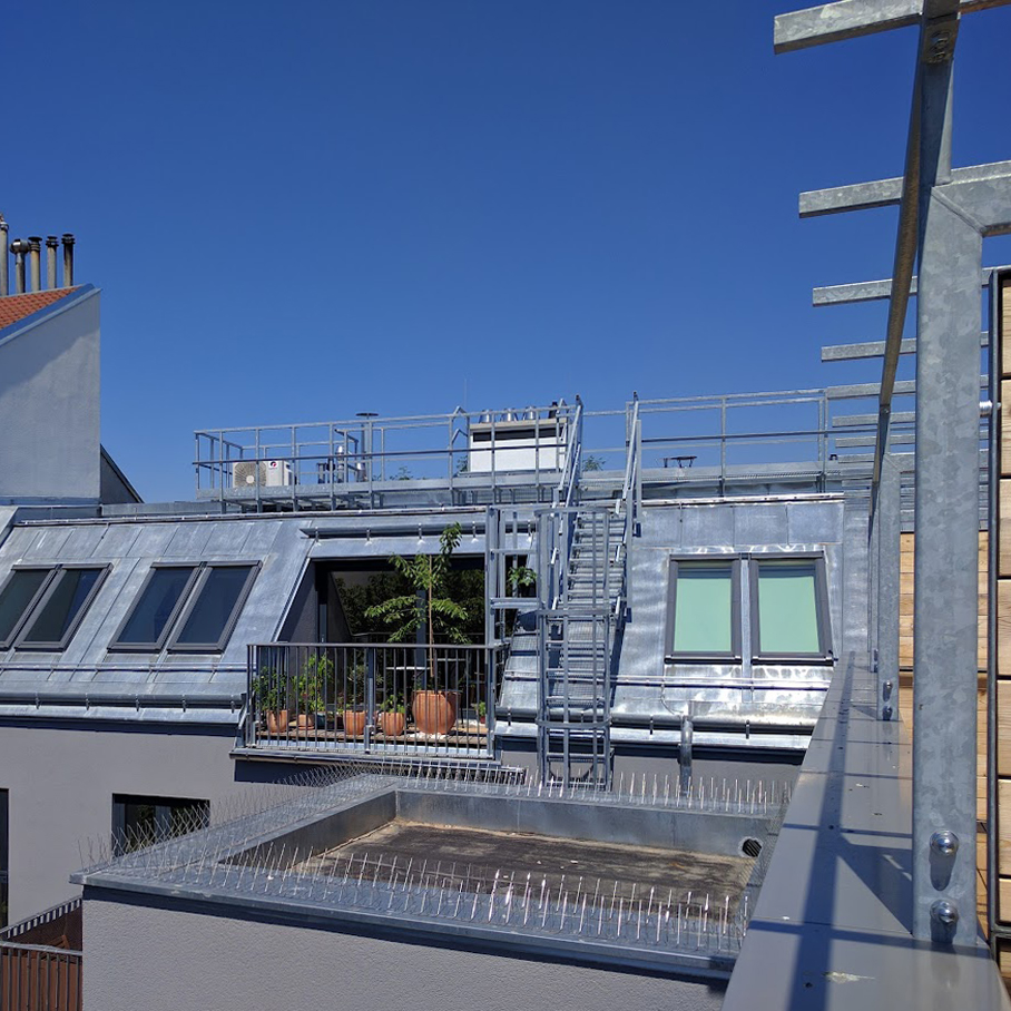 Koelbl Radojkovic 036